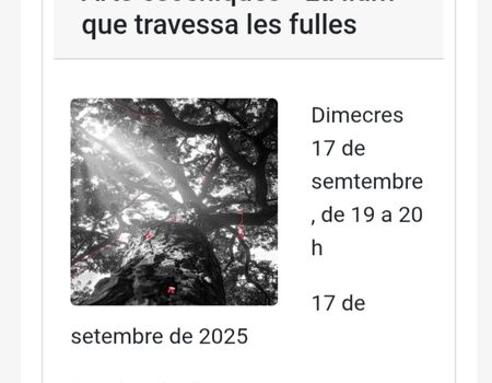 Imagen del evento