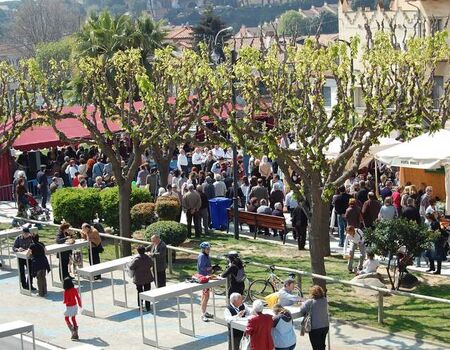 Imagen del evento