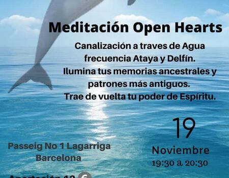 Imagen del evento