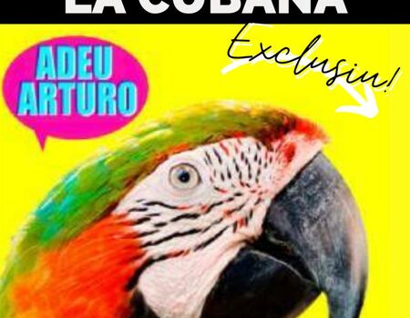 Imagen del evento