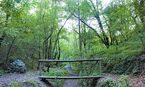 El Bosc Encantat de Gurb