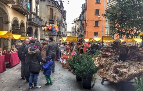 Fira del Tió de Solsona