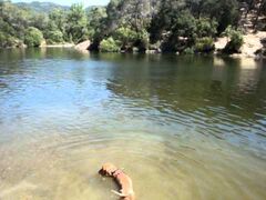 Llac petit de Terrassa