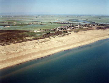 Playa de los Eucaliptus Delta del Ebro