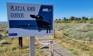 Playa del faro Vilanova