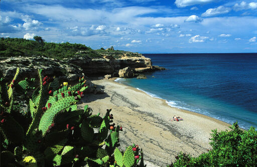 Playa Xelí­n