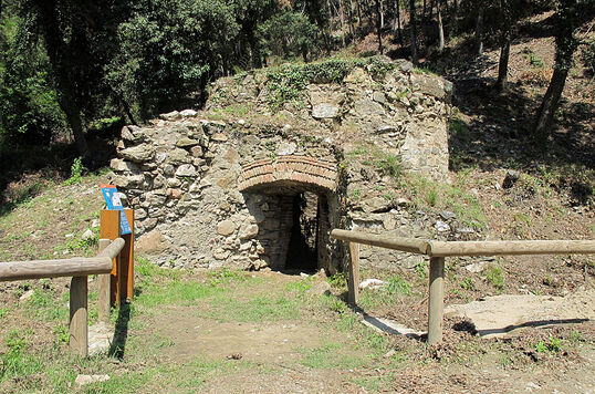 Ruta las Encinas de Can Portell