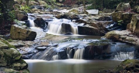 Ruta Riera de Gualba - Suro Gros - Pantano de Santa Fé - Salto