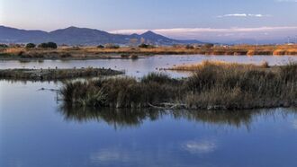 Visitar el delta del Llobregat