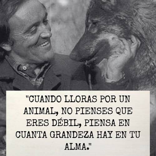 Foto extra 15