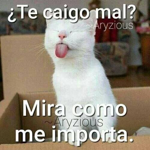 Foto extra 3