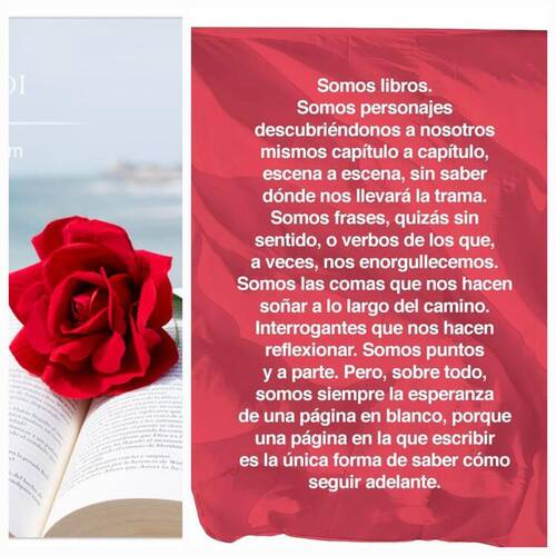 Foto extra 4
