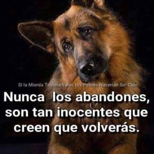 Foto extra 28