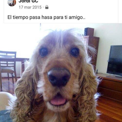 Foto extra 8