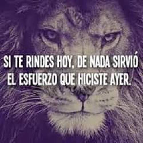 Foto extra 1