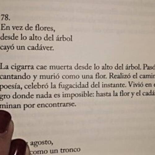 Foto extra 1