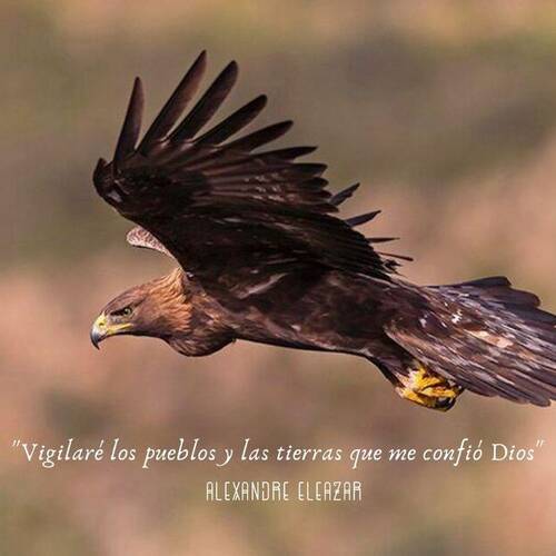 Foto extra 2