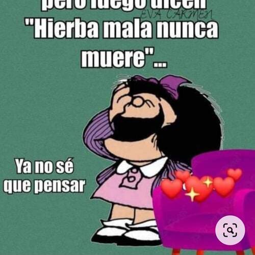 Foto extra 1