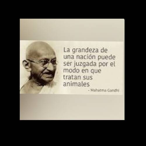 Foto extra 1