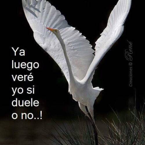 Foto extra 1