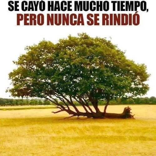 Foto extra 1