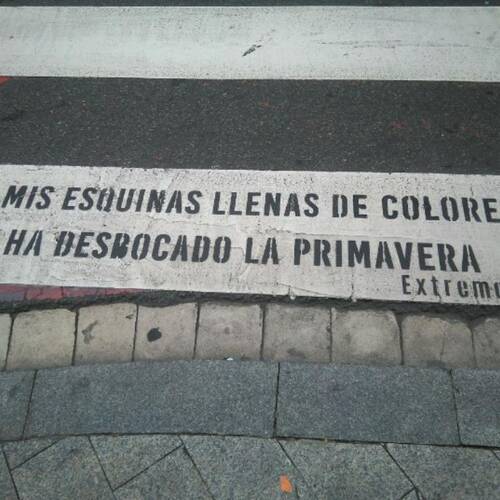 Foto extra 3