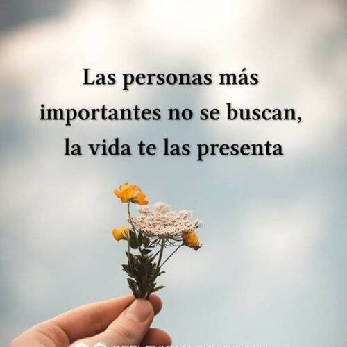 Foto extra 1