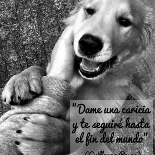 Foto extra 8