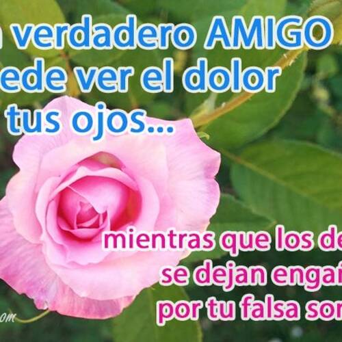 Foto extra 1