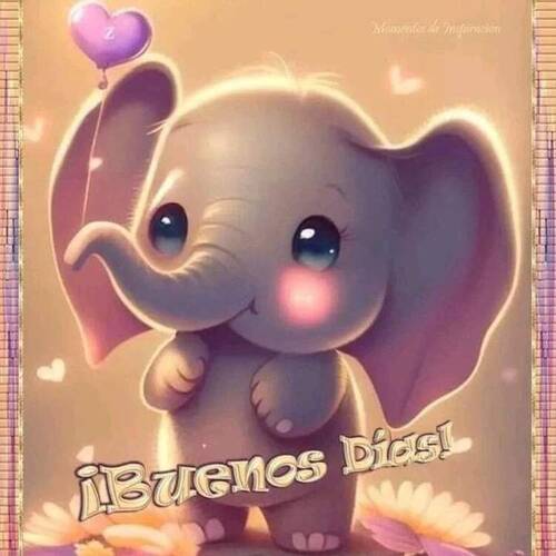 Foto extra 1
