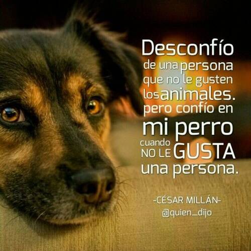 Foto extra 1