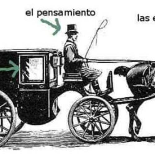 Foto extra 1