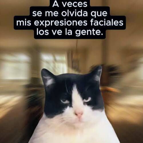 Foto extra 3