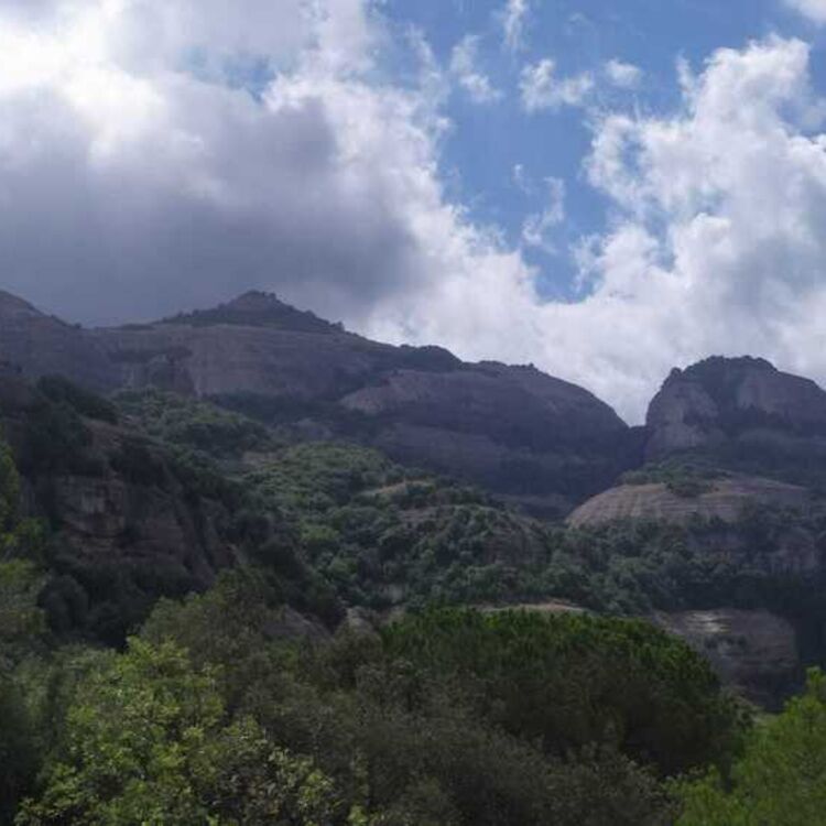 sergius