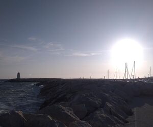 Alba