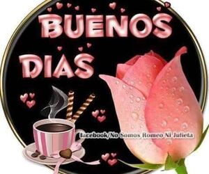 Sonia