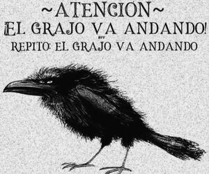 Vicente