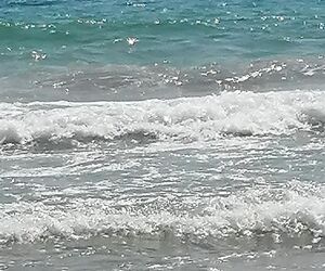 Mar