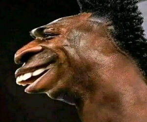 Manu