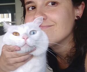 Cristina