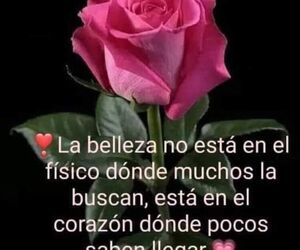 Paule
