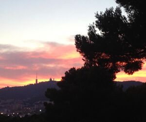 ALba 