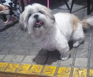 Berta