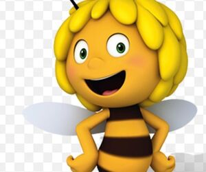Aly