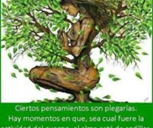 Jose Antonio F