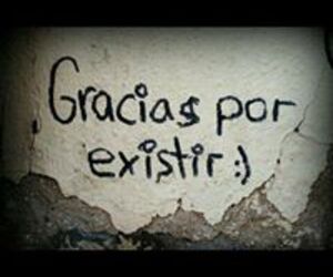 Yolanda Carril