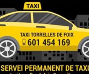 Taxi Torrefoix