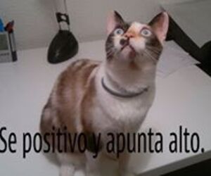 Sira Sn Sn