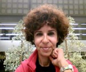 Carmen Luque A