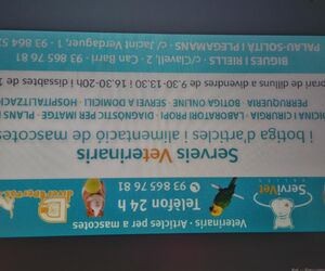 SERVIVETDIVERT